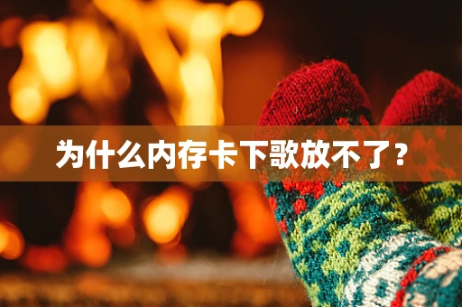 为什么内存卡下歌放不了？