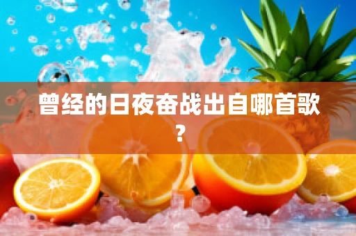 曾经的日夜奋战出自哪首歌？
