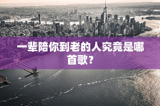 一辈陪你到老的人究竟是哪首歌？
