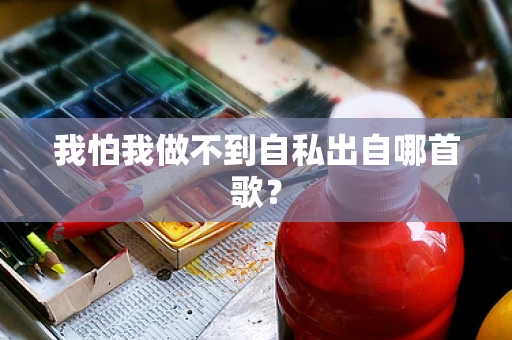我怕我做不到自私出自哪首歌？