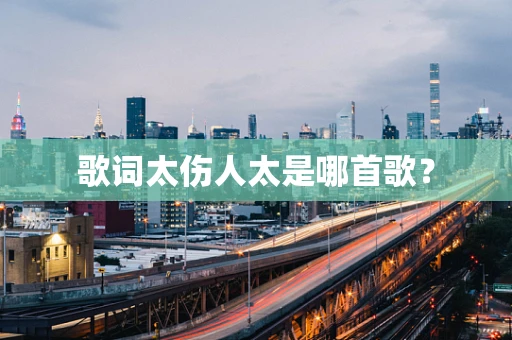 歌词太伤人太是哪首歌？