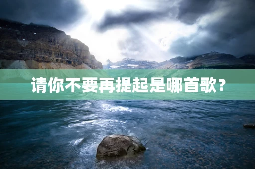请你不要再提起是哪首歌？