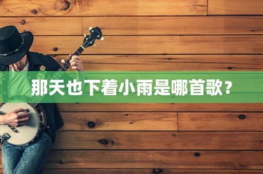 那天也下着小雨是哪首歌？