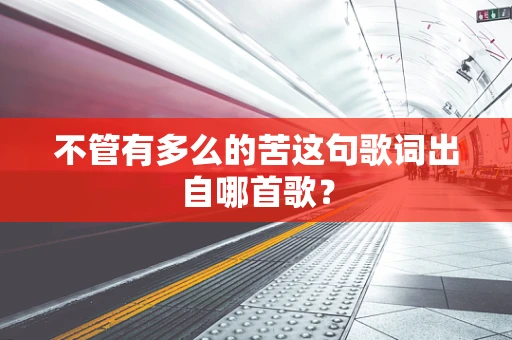 不管有多么的苦这句歌词出自哪首歌？