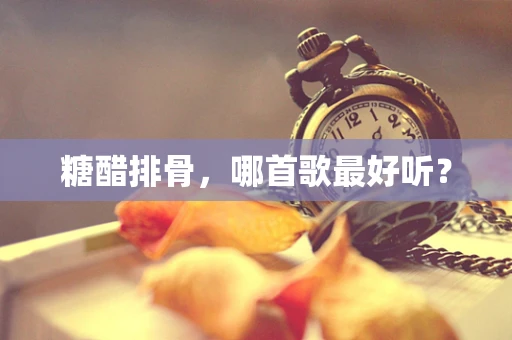 糖醋排骨，哪首歌最好听？