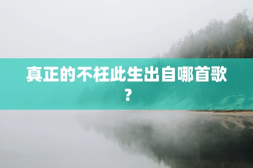 真正的不枉此生出自哪首歌？
