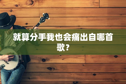 就算分手我也会痛出自哪首歌？