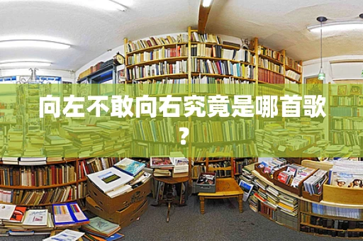 向左不敢向右究竟是哪首歌？