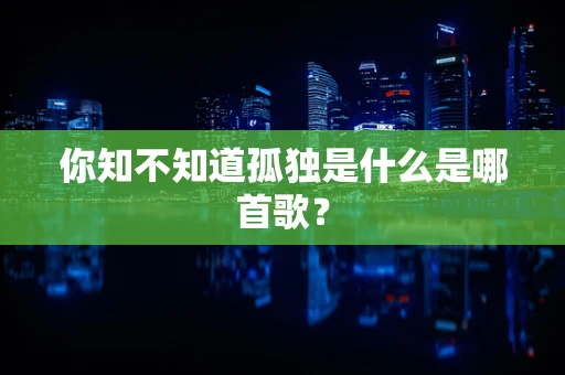 你知不知道孤独是什么是哪首歌？