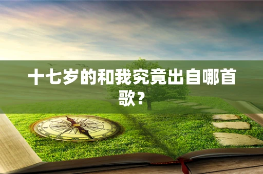 十七岁的和我究竟出自哪首歌？