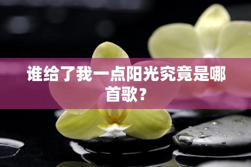 谁给了我一点阳光究竟是哪首歌？