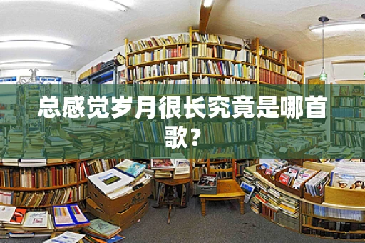 总感觉岁月很长究竟是哪首歌？