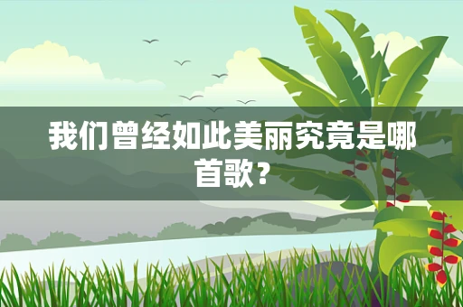 我们曾经如此美丽究竟是哪首歌？
