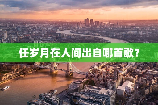 任岁月在人间出自哪首歌？