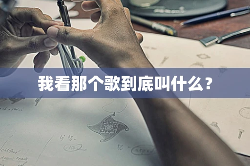 我看那个歌到底叫什么？