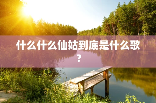 什么什么仙姑到底是什么歌？