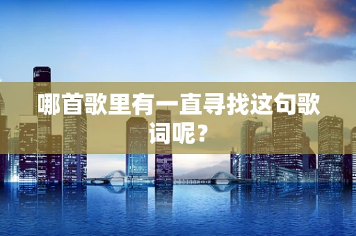 哪首歌里有一直寻找这句歌词呢？