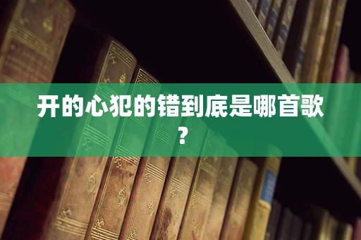 开的心犯的错到底是哪首歌？