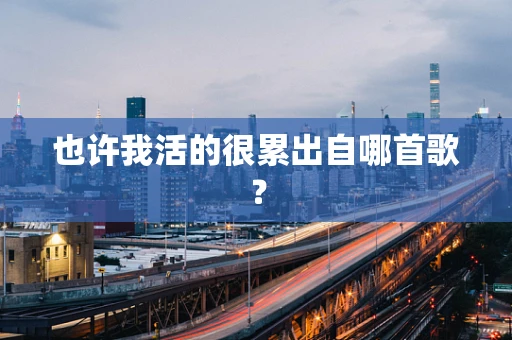 也许我活的很累出自哪首歌？