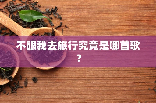 不跟我去旅行究竟是哪首歌？