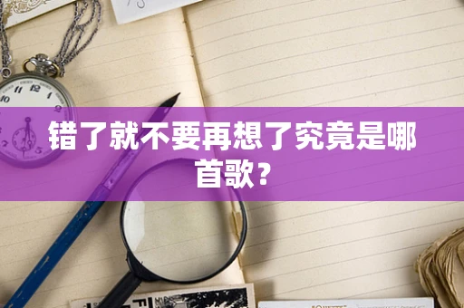 错了就不要再想了究竟是哪首歌？