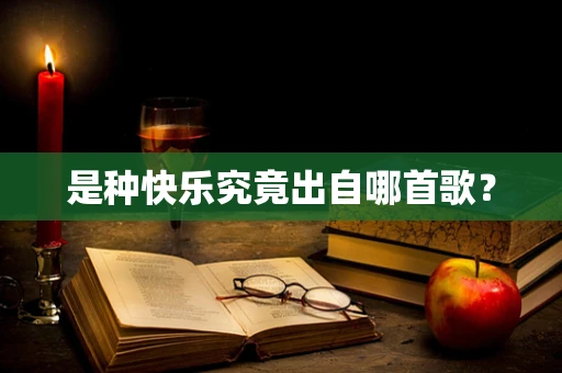 是种快乐究竟出自哪首歌？