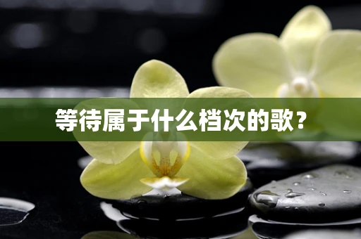 等待属于什么档次的歌？