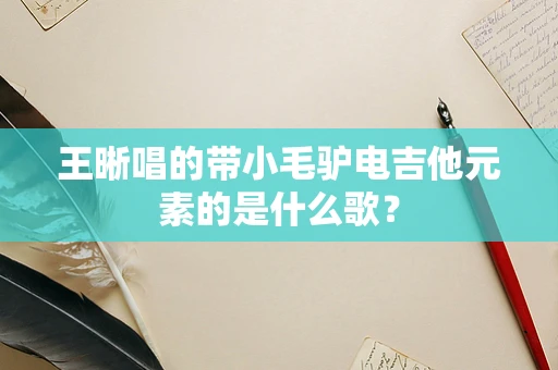 王晰唱的带小毛驴电吉他元素的是什么歌？