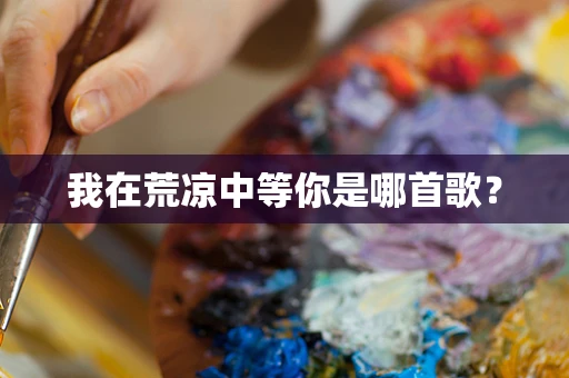 我在荒凉中等你是哪首歌？