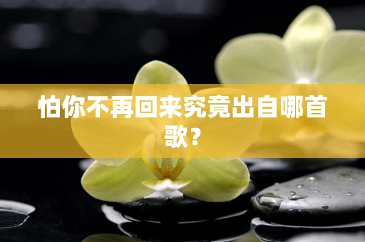 怕你不再回来究竟出自哪首歌？