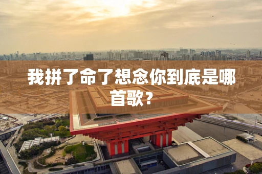 我拼了命了想念你到底是哪首歌？