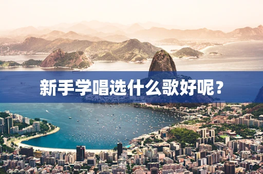 新手学唱选什么歌好呢？