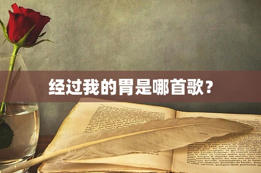 经过我的胃是哪首歌？