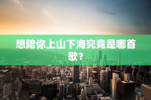 想陪你上山下海究竟是哪首歌？