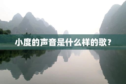 小度的声音是什么样的歌？