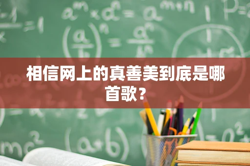 相信网上的真善美到底是哪首歌？