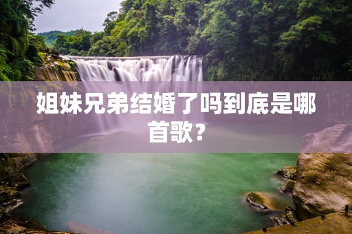 姐妹兄弟结婚了吗到底是哪首歌？