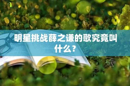 明星挑战薛之谦的歌究竟叫什么？