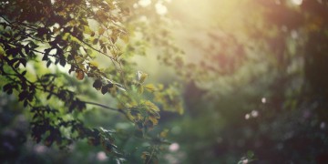 半暖时光究竟是什么歌?