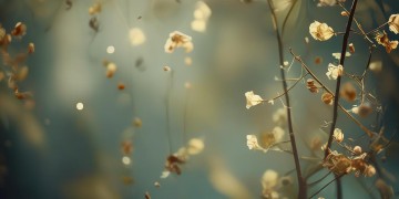 这是有缘人的缘究竟出自哪首歌？