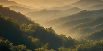 我要回大别山是哪首歌？