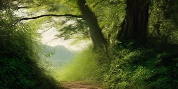 来时路远今夕何年出自哪首歌？