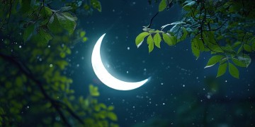 月亮稍稍爬上夜空究竟是哪首歌？