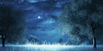 有night的歌都有哪些呢？