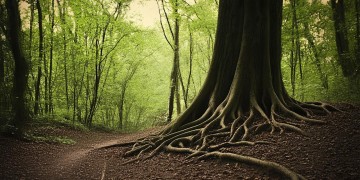 转过头看不到脚印究竟是哪首歌？