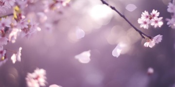 有苦有你才幸福究竟是哪首歌？