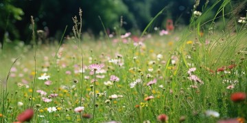 想要放荡却不羁出自哪首歌?