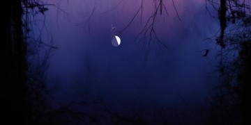 你夜夜声声究竟是哪首歌？