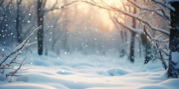 雪花飘落的季节究竟是哪首歌？