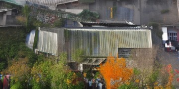 那首带鱼字的粤语歌究竟是哪首？